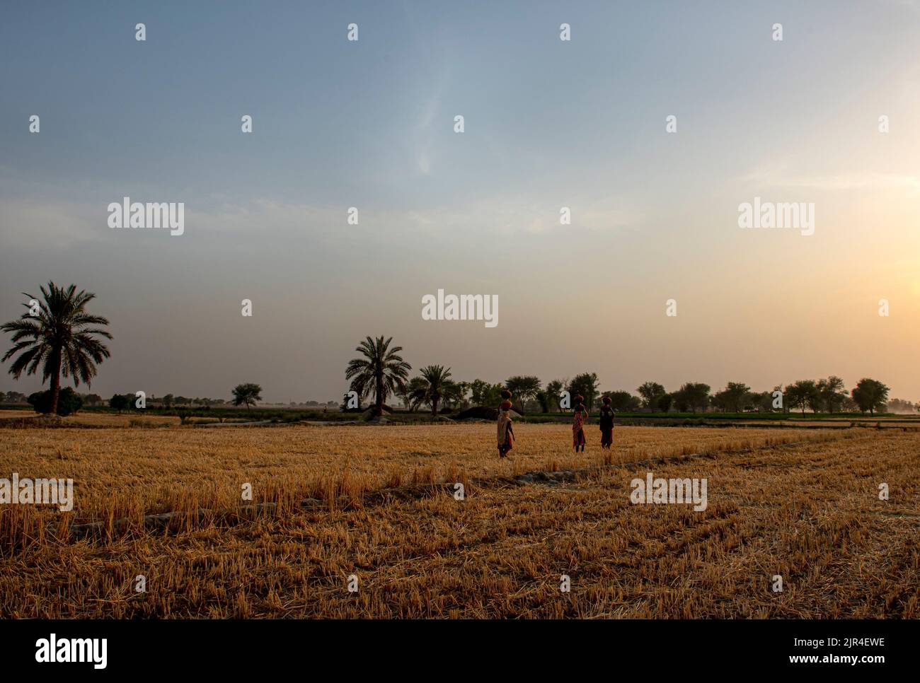 Donne portatore di acqua nel villaggio di Punjab, scena rurale, le donne stanno andando con brocche di acqua nel Punjab Foto Stock