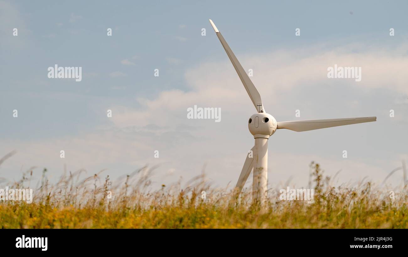 Turbine eoliche che forniscono energia pulita Foto Stock