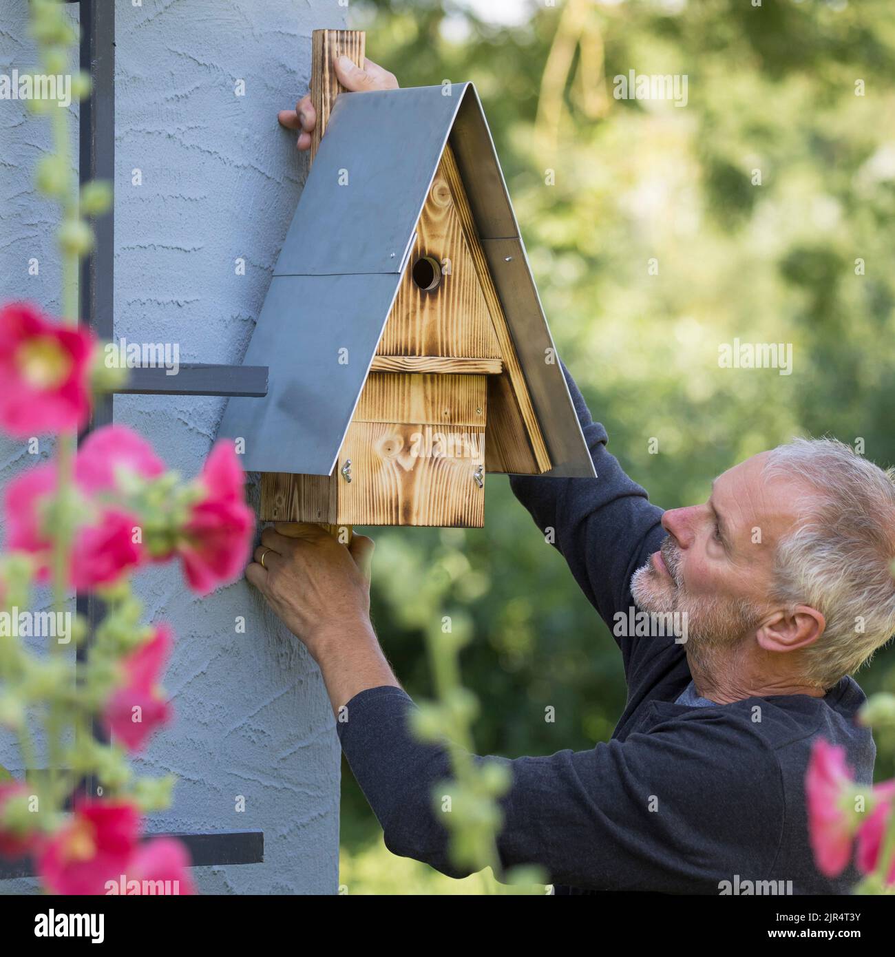 uomo che appende una casa di uccelli fatta in casa su una facciata Foto Stock