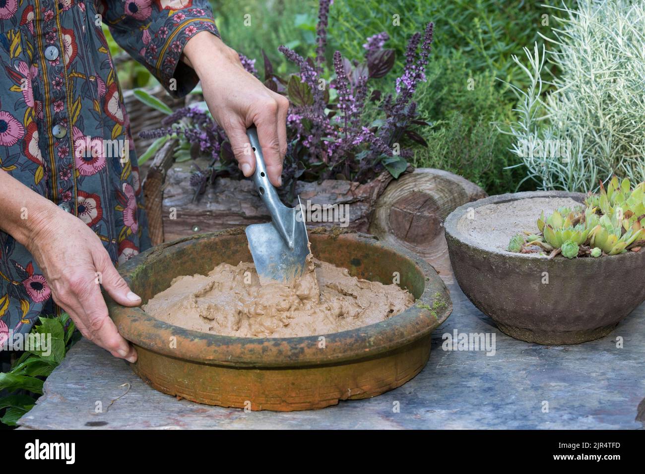 Piatto con argilla umida nel giardino come opportunità per uccelli e insetti di trovare materiale di nidificazione, Germania Foto Stock