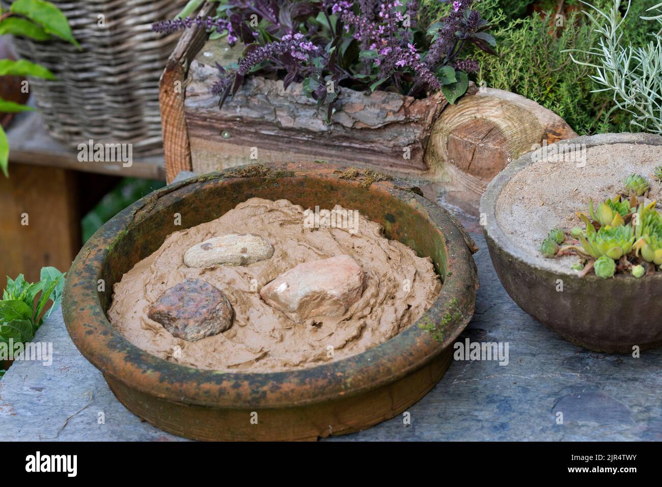 Piatto con argilla umida nel giardino come opportunità per uccelli e insetti di trovare materiale di nidificazione, Germania Foto Stock