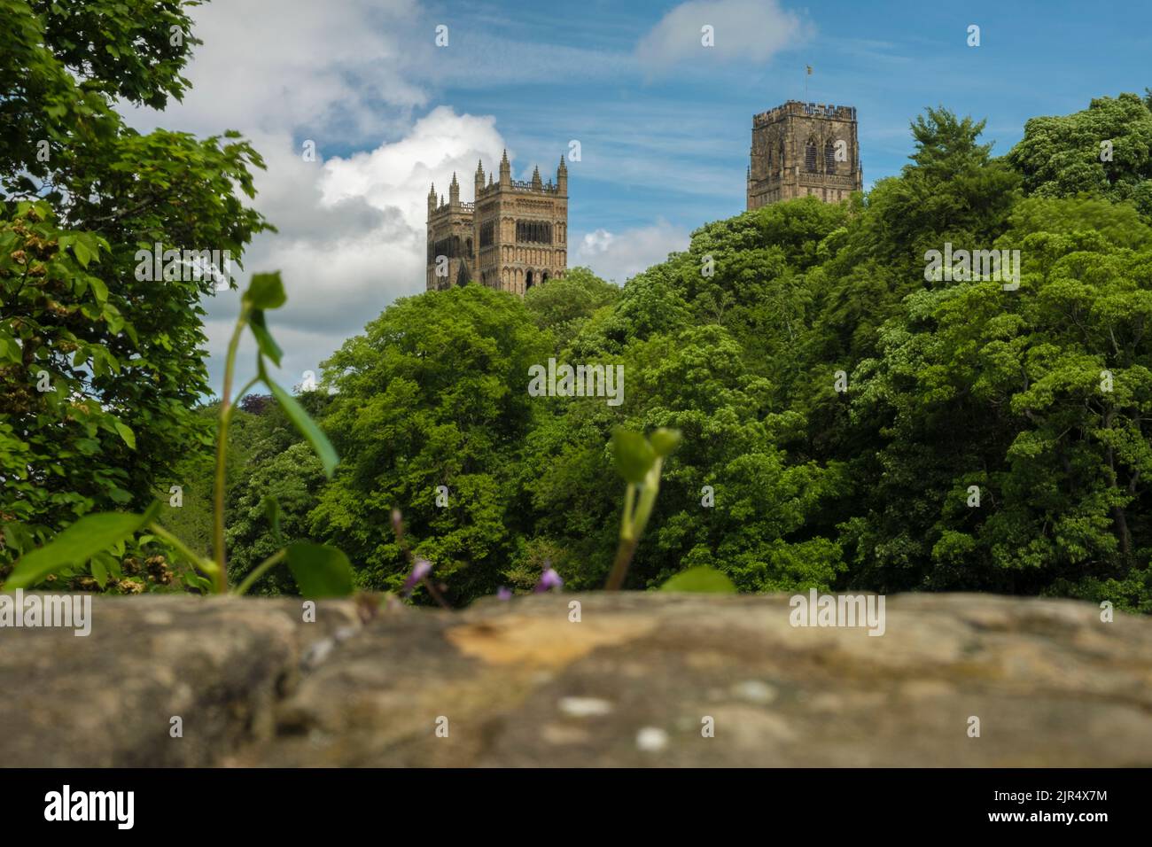 Basso colpo di Durham Cathedral e River Wear da Prebends Bridge Foto Stock