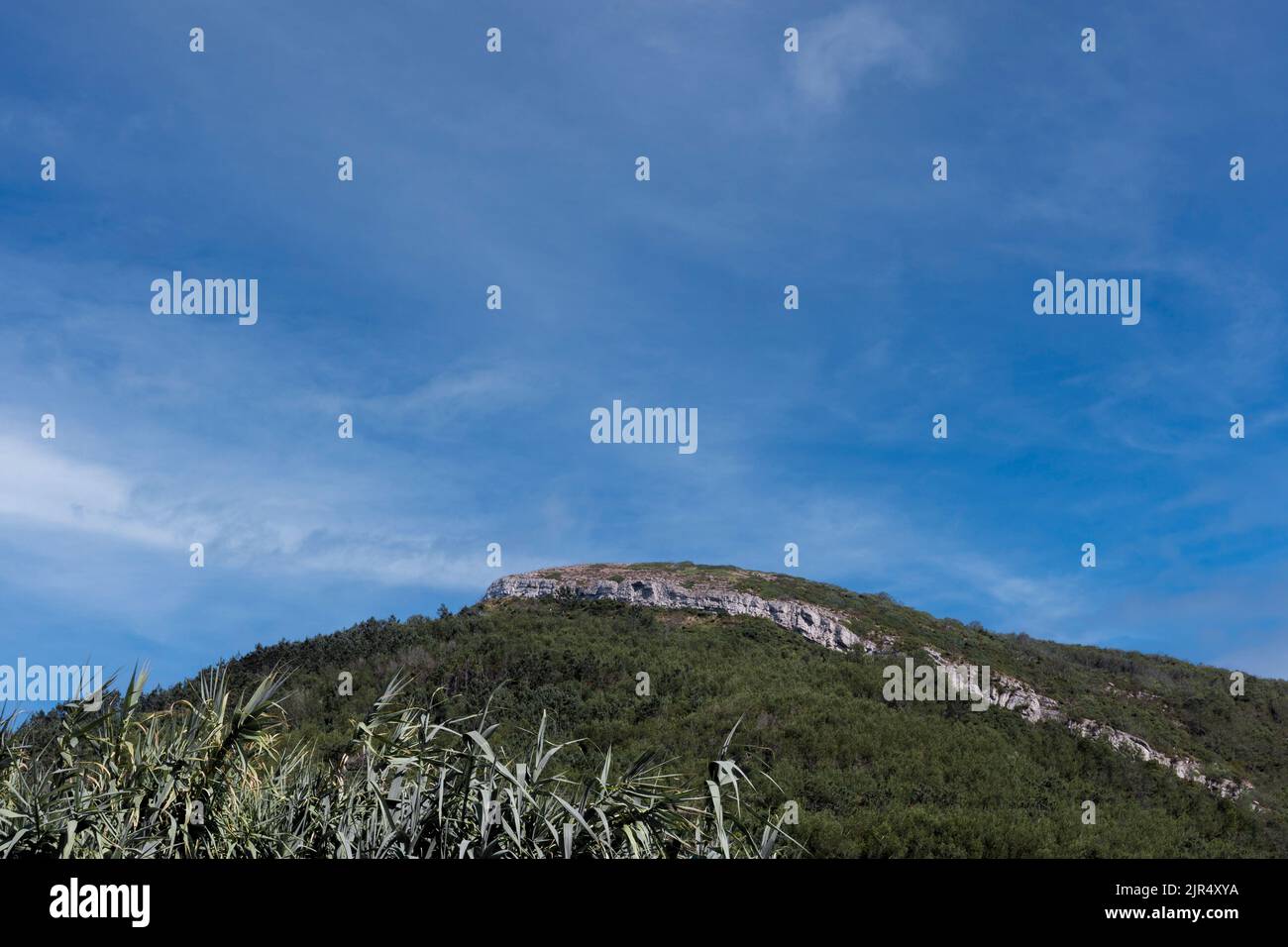 Verde collina coperta di vegetazione e alberi e cielo blu che mostra una linea di rocce calcaree stratificate nella montagna Serra da Boa Viagem Foto Stock