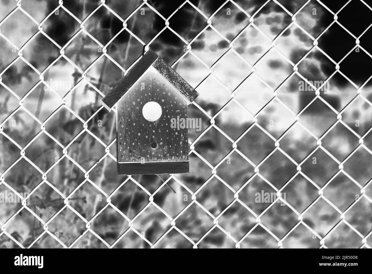 Tipica birdhouse comune in legno appesa a una recinzione catena nel prato estivo soleggiato in bianco e nero film negativo. Foto Stock