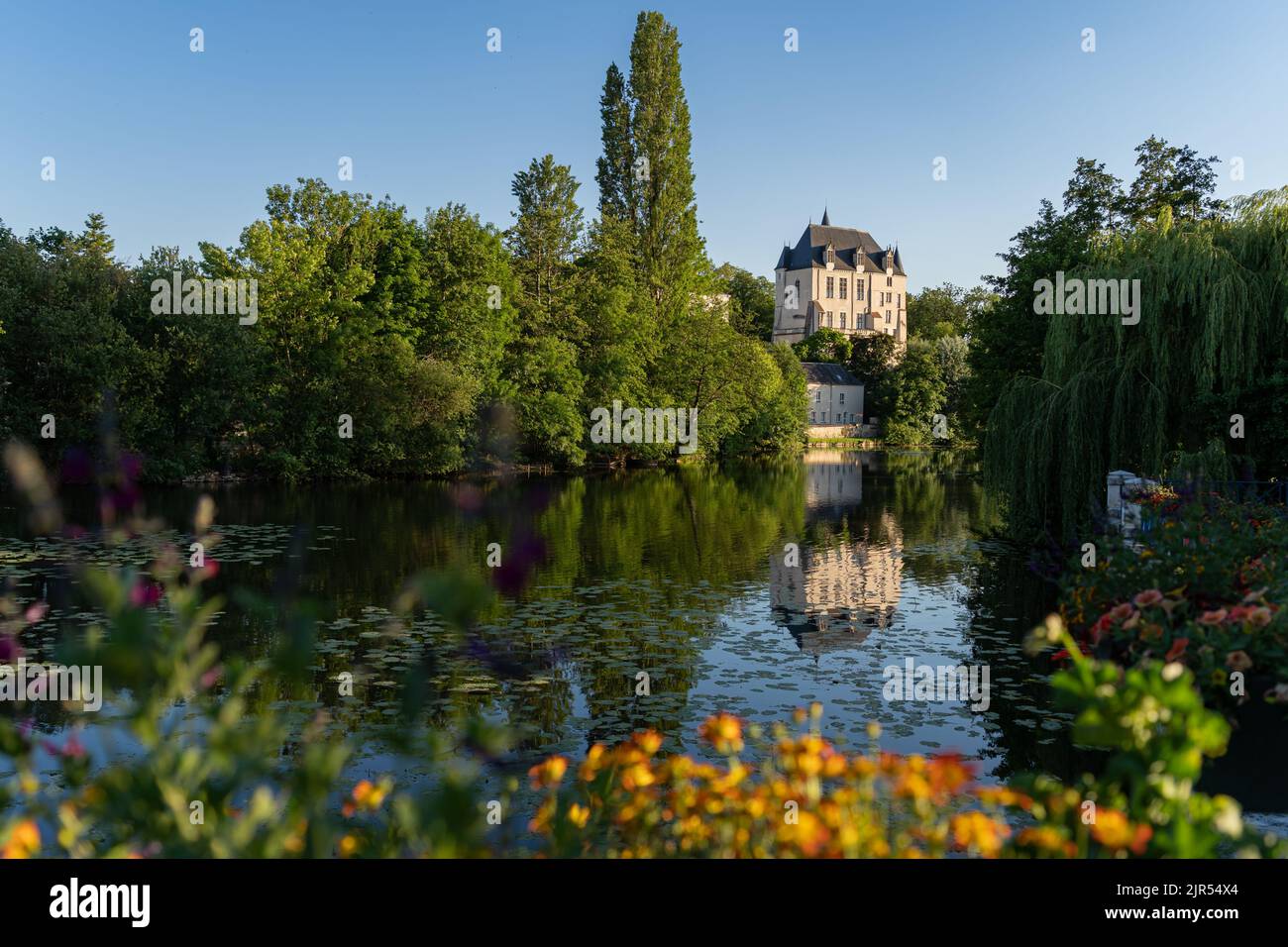 Castello Raoul con fiore giallo e riflessione in acqua nella città di Chateauroux, Francia Foto Stock