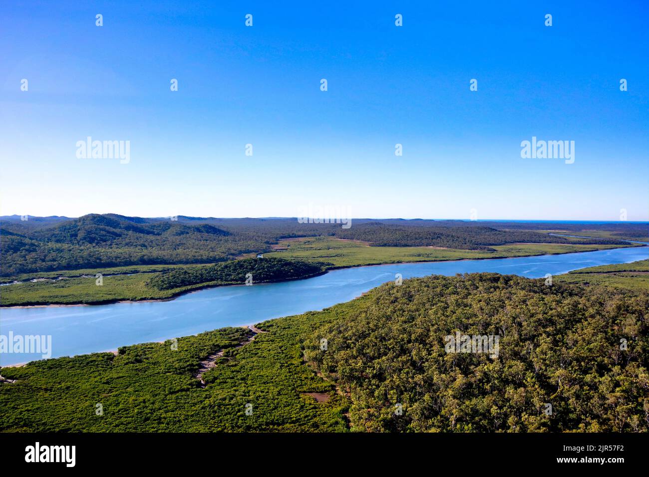 Antenna di mangrovie fiancheggiata da Graham Creek Curtis Island Queensland Australia Foto Stock