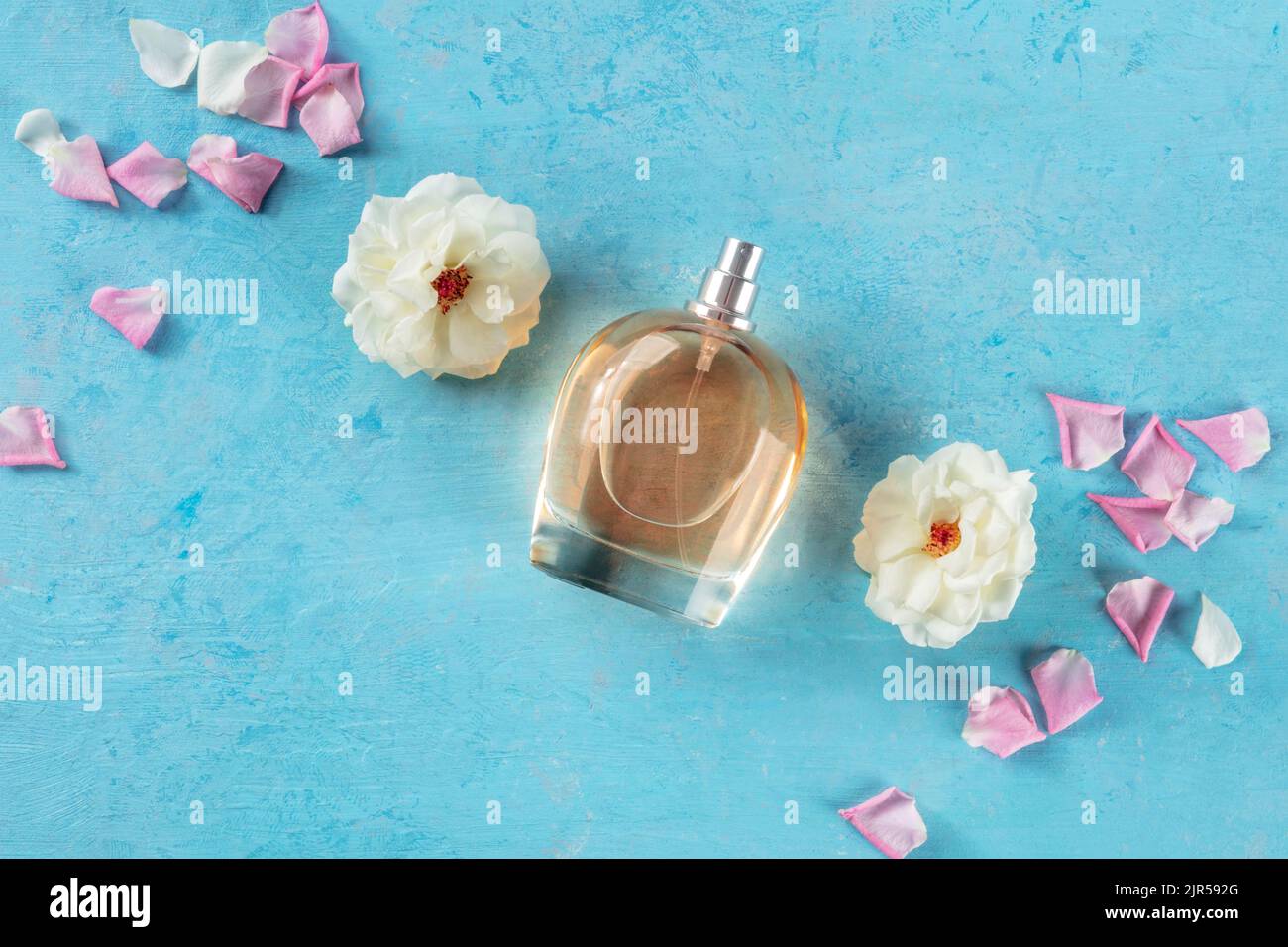 Concetto di profumo. Una bottiglia di fragranza di rosa, la parte superiore piatta stesa sparata su uno sfondo blu con fiori freschi e petali, un'essenza floreale organica Foto Stock
