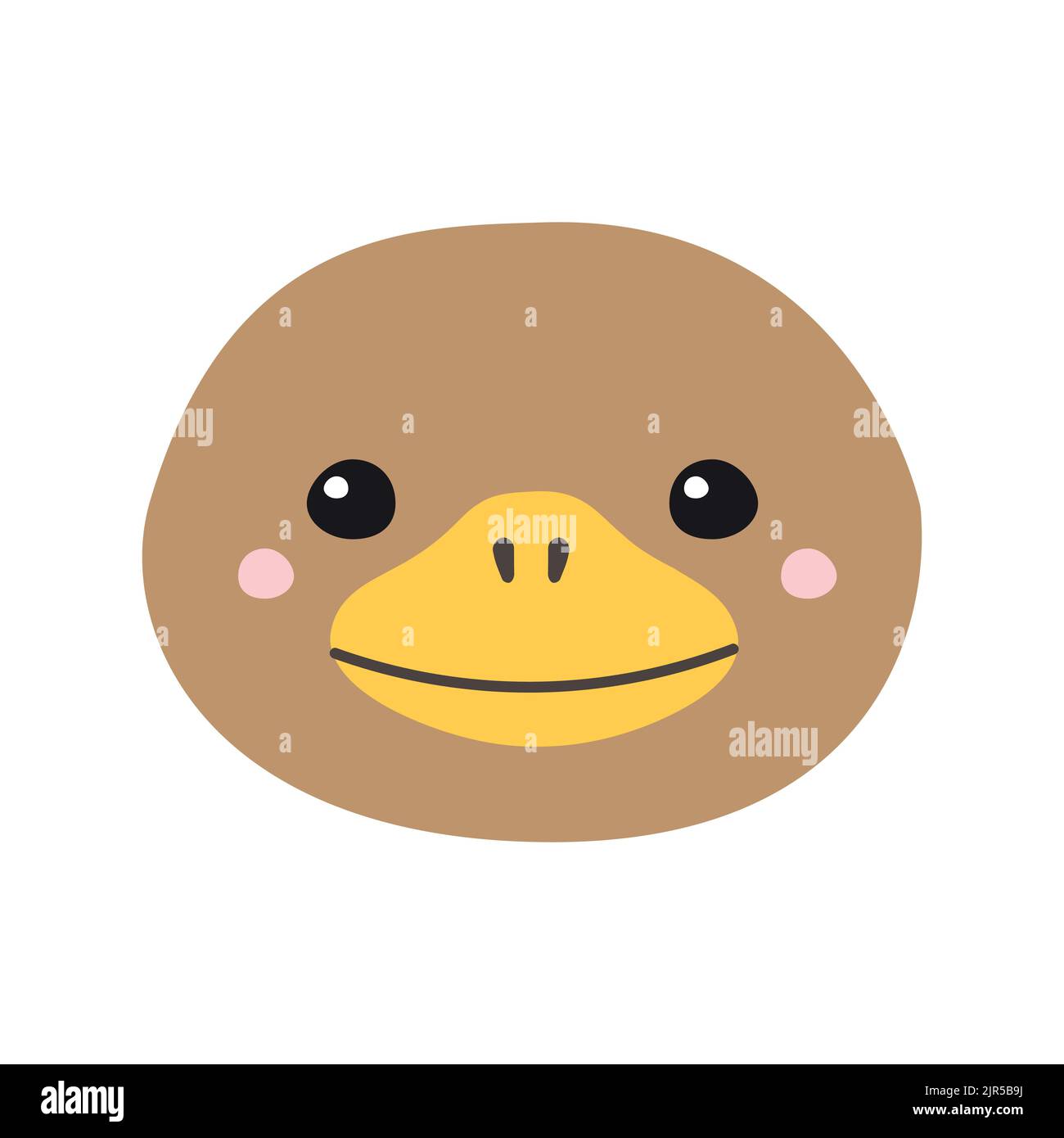 Testa frontale piatta in platypus duckbill disegnata a mano e isolata su sfondo bianco Illustrazione Vettoriale