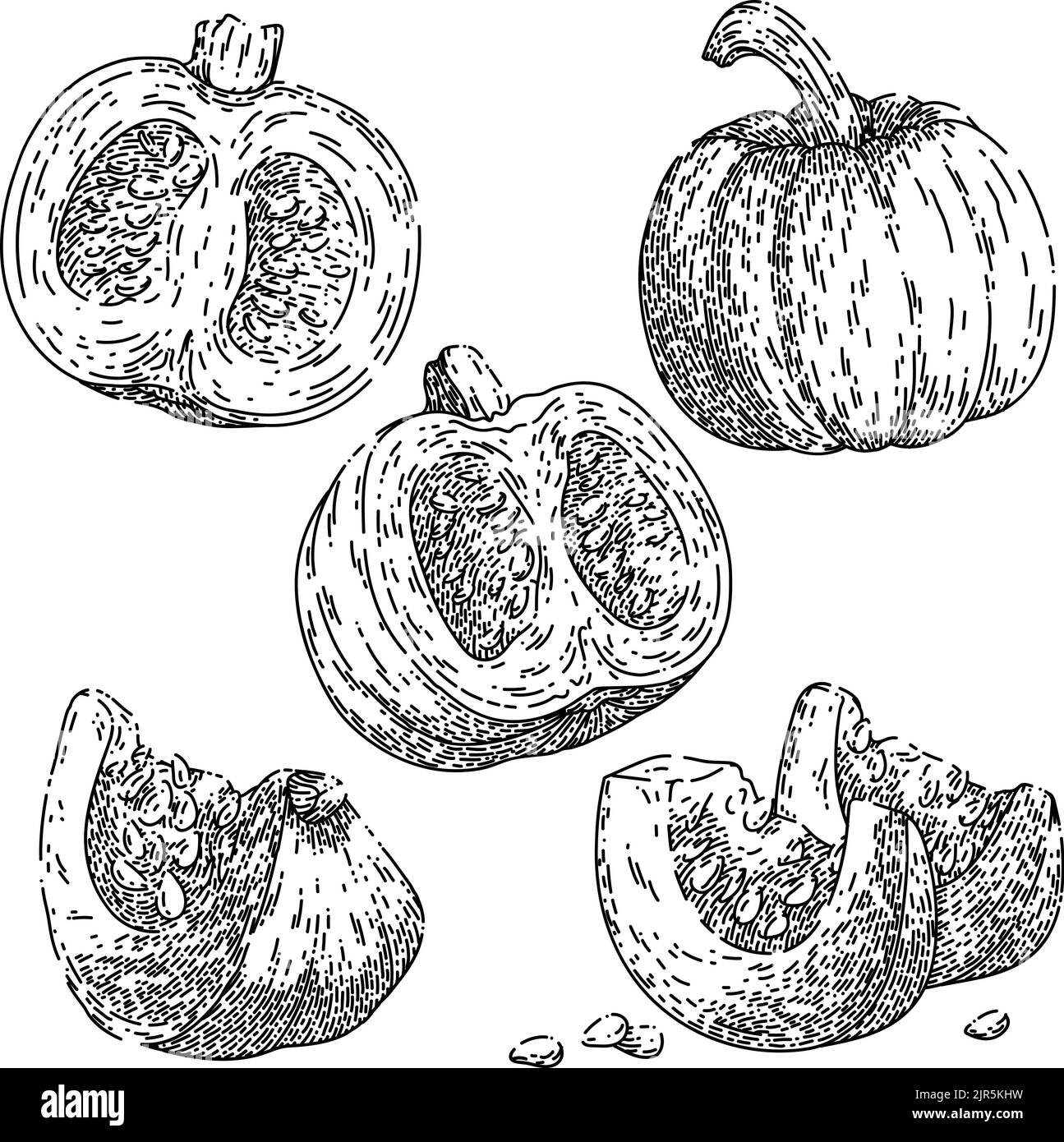 zucca halloween arancione set schizzo disegnato a mano vettore Illustrazione Vettoriale