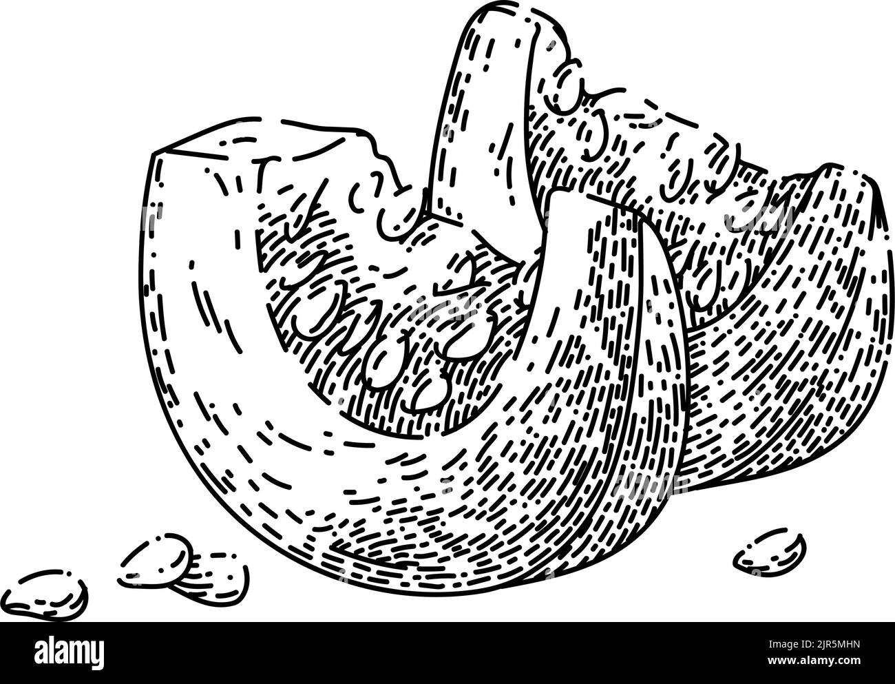 vettore disegnato a mano con una fetta di zucca Illustrazione Vettoriale