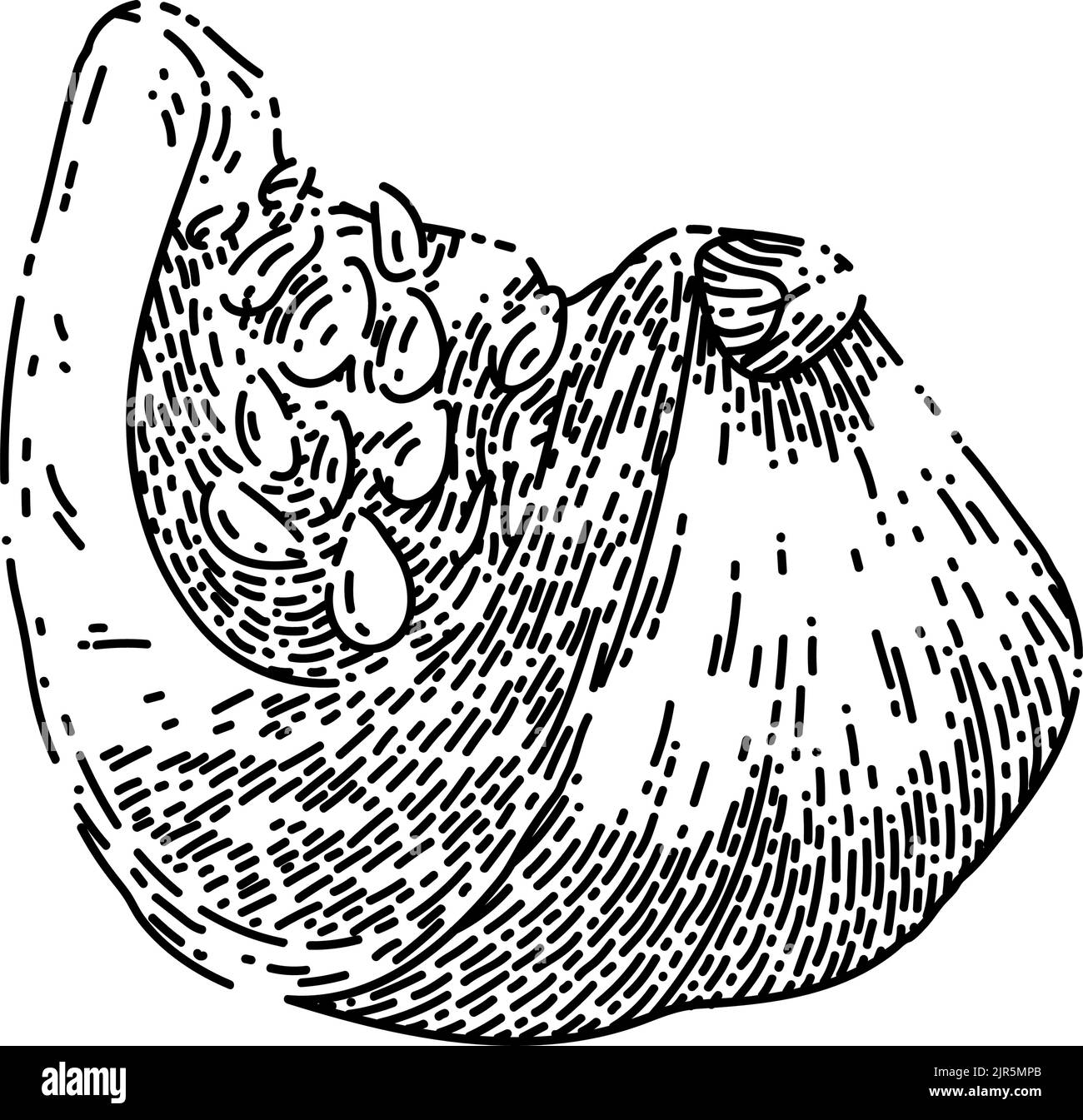 vettore disegnato a mano con una fetta di zucca Illustrazione Vettoriale