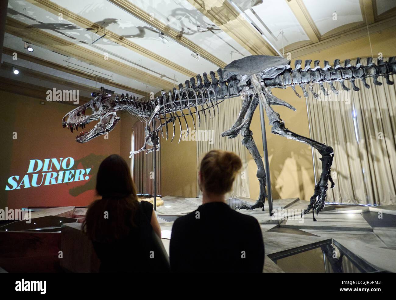 Berlino, Germania. 22nd ago, 2022. Lo scheletro del tirannosauro rex Tristan otto è tornato nel Museo di Storia Naturale. Dal 23 agosto, lo scheletro lungo dodici metri e alto quattro metri sarà esposto alla mostra 'Dinosaurs! Age of the Giant Lizards' al Museo di Storia Naturale. Credit: Annette Riedl/dpa/Alamy Live News Foto Stock