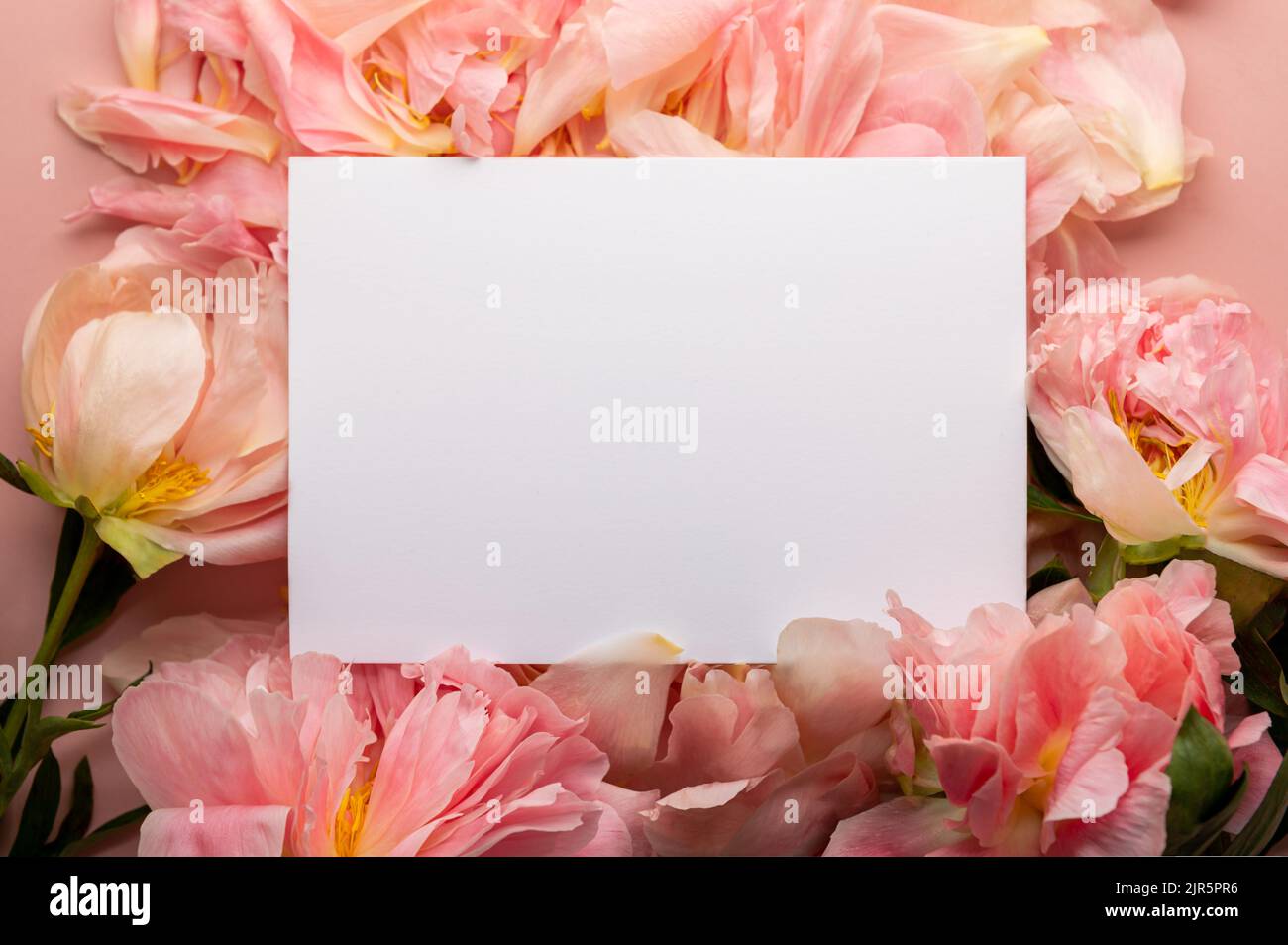 Apri il notebook per scrivere sogni Foto Stock
