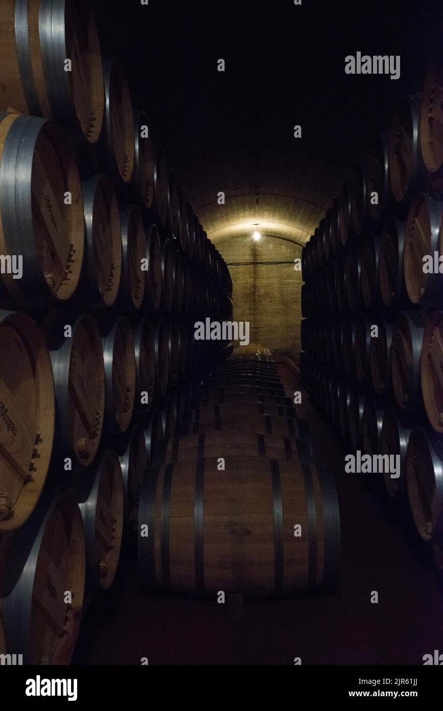 Visita a Bodegas Muga a Haro, la Rioja Foto Stock