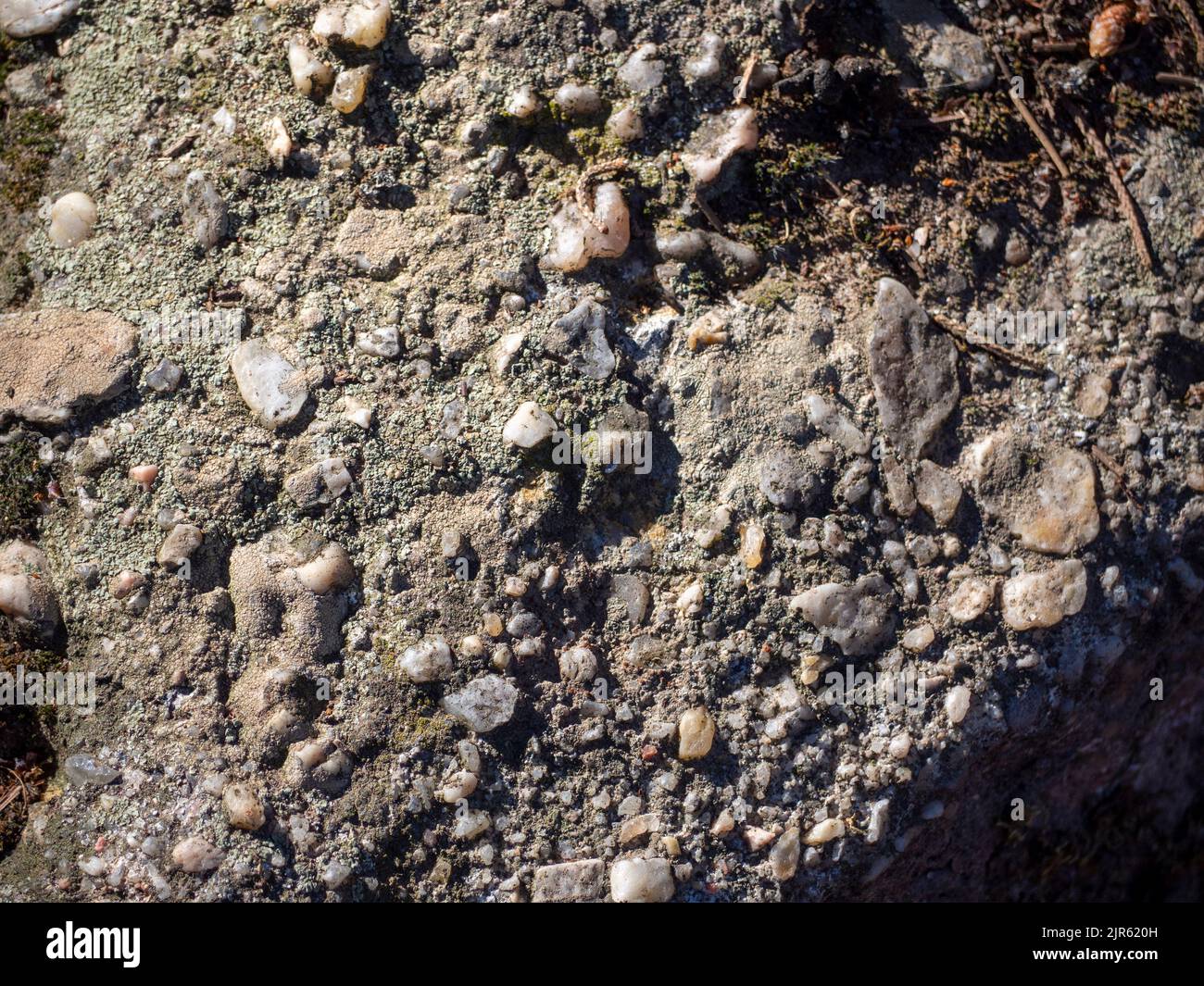 Vecchio cemento texture Foto Stock