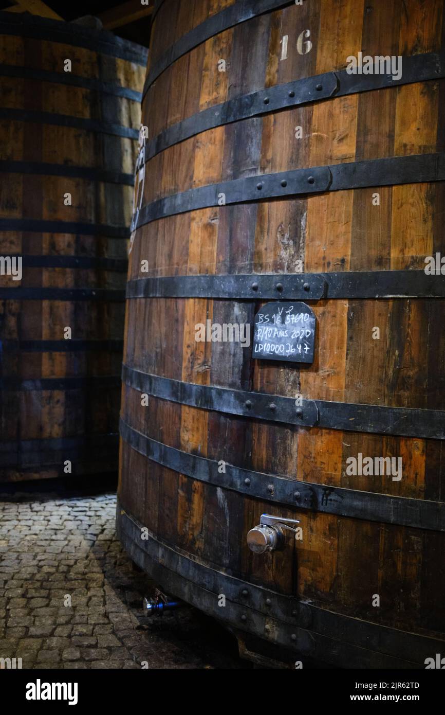 Barili di porto nella Quinta S. Luiz con vino di porto nella tenuta della valle del Douro nel Portogallo settentrionale Foto Stock