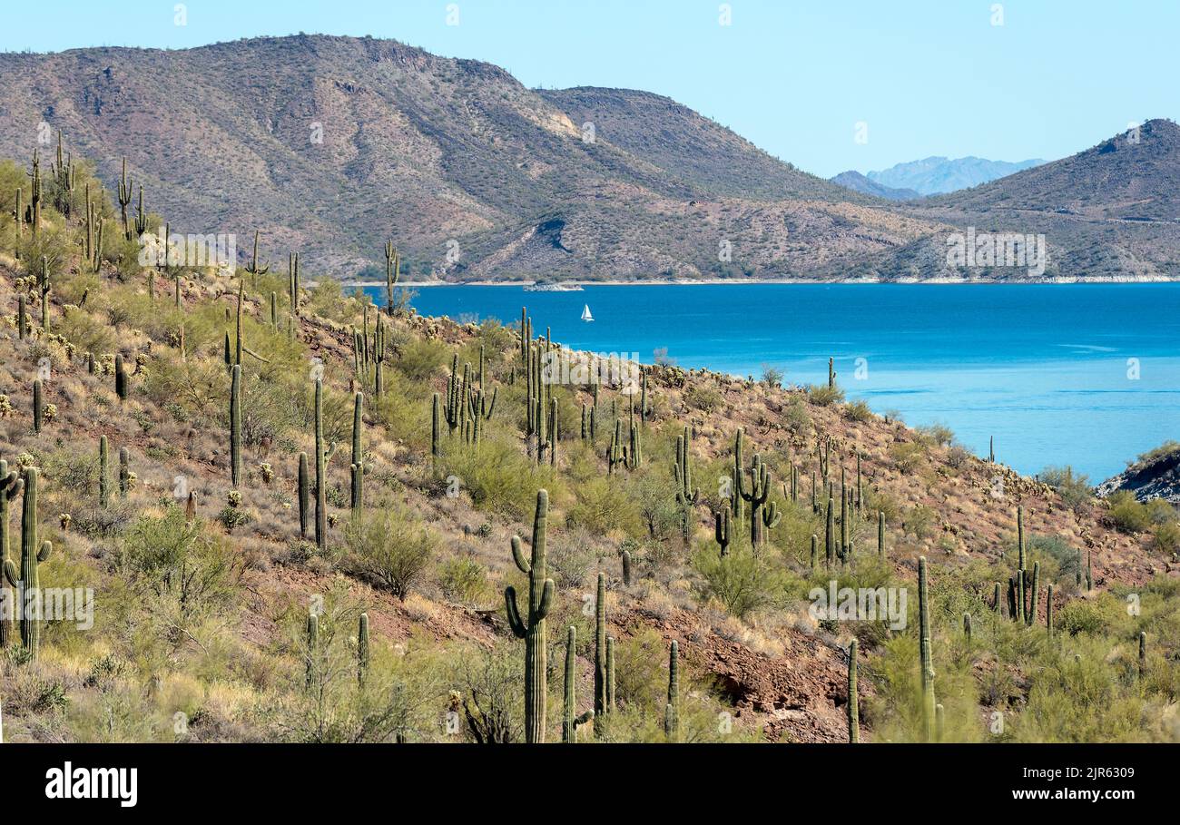 Affacciato sul lago Pleasant, Arizona, Stati Uniti Foto Stock