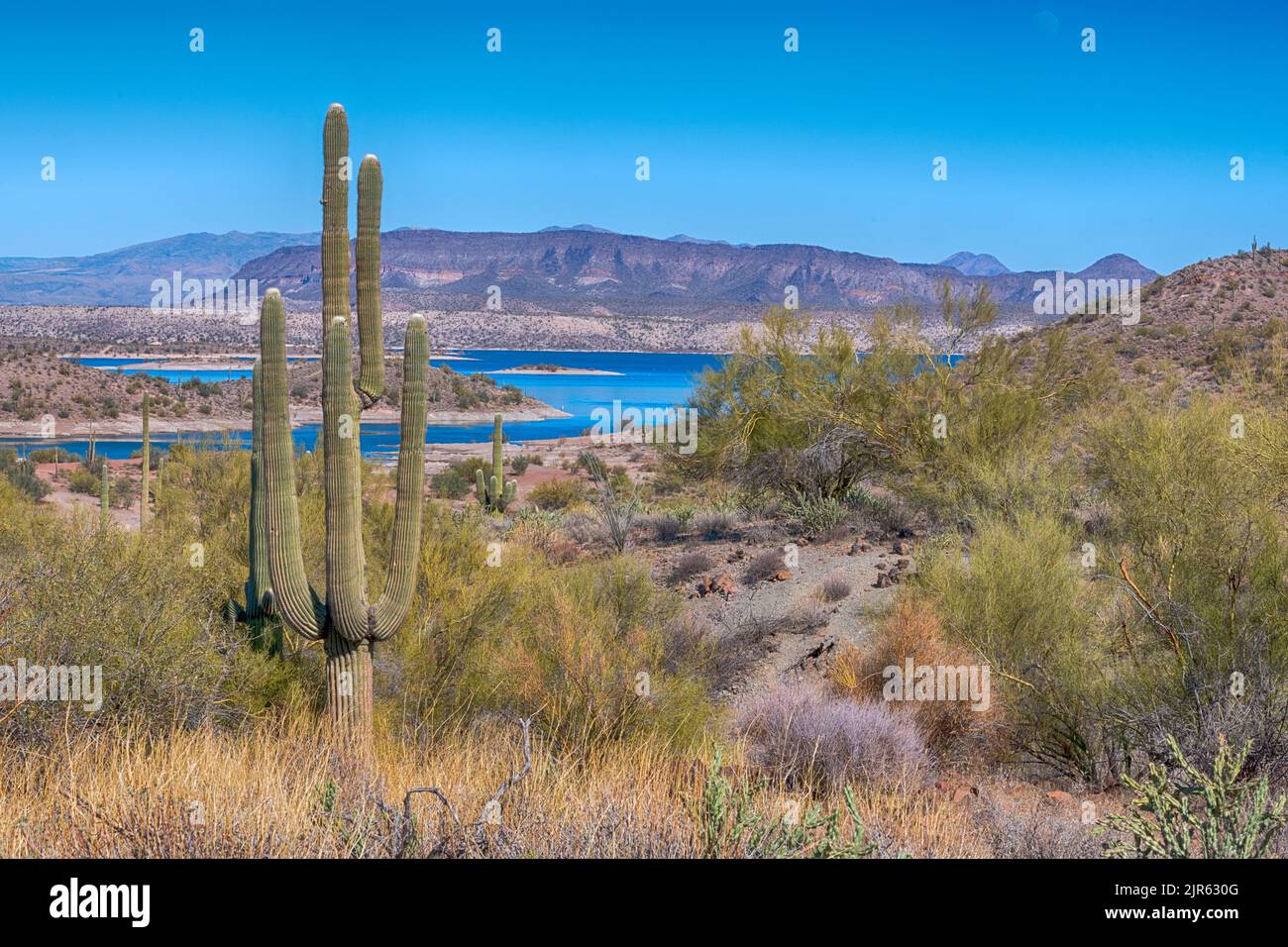 Affacciato sul lago Pleasant, Arizona, Stati Uniti Foto Stock