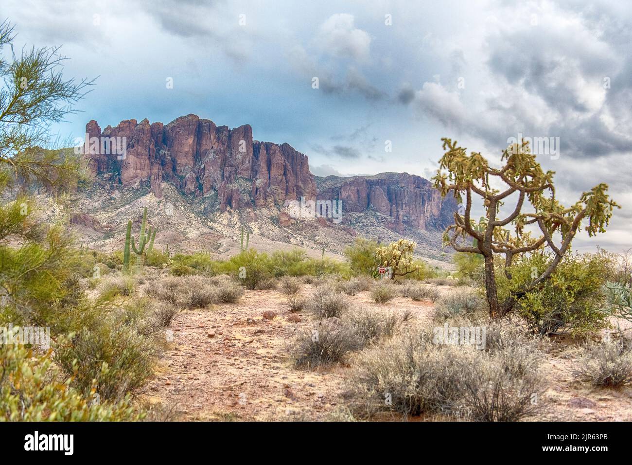 Deserto con cactus di fronte alla formazione di Handss in preghiera nelle superstizioni, Arizona meridionale Foto Stock