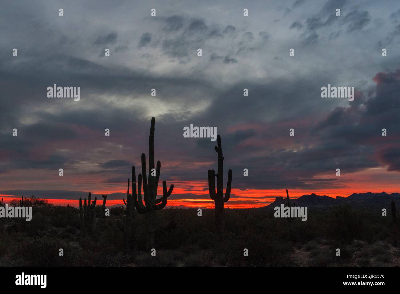 Tramonto nelle superstizioni, Arizona Foto Stock