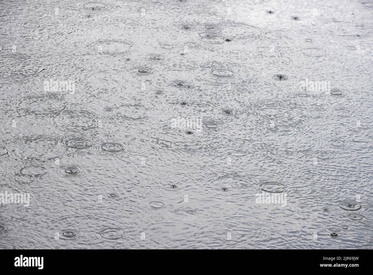 Primo piano delle gocce di pioggia che odiano un corpo d'acqua. Foto Stock