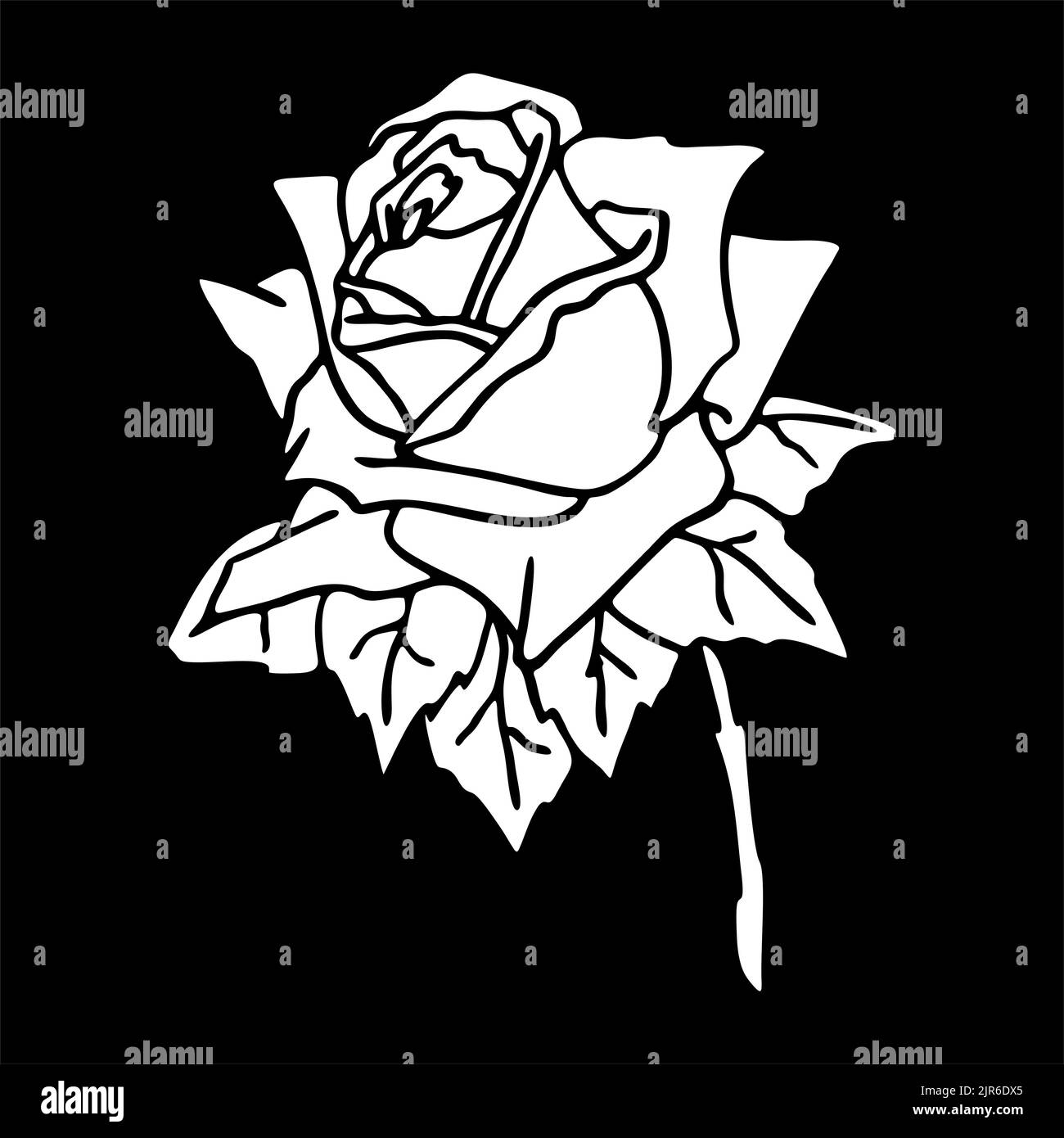 disegno bianco di una rosa su sfondo nero, silhouette di un fiore, elemento isolato, grafica, design Foto Stock
