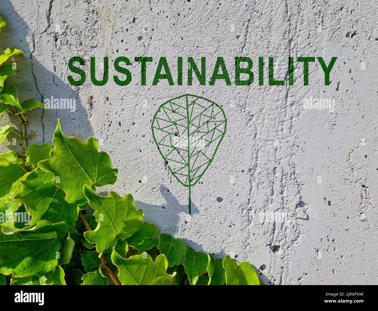 Sostenibilità parola su muro di cemento e ramo verde. Foto Stock
