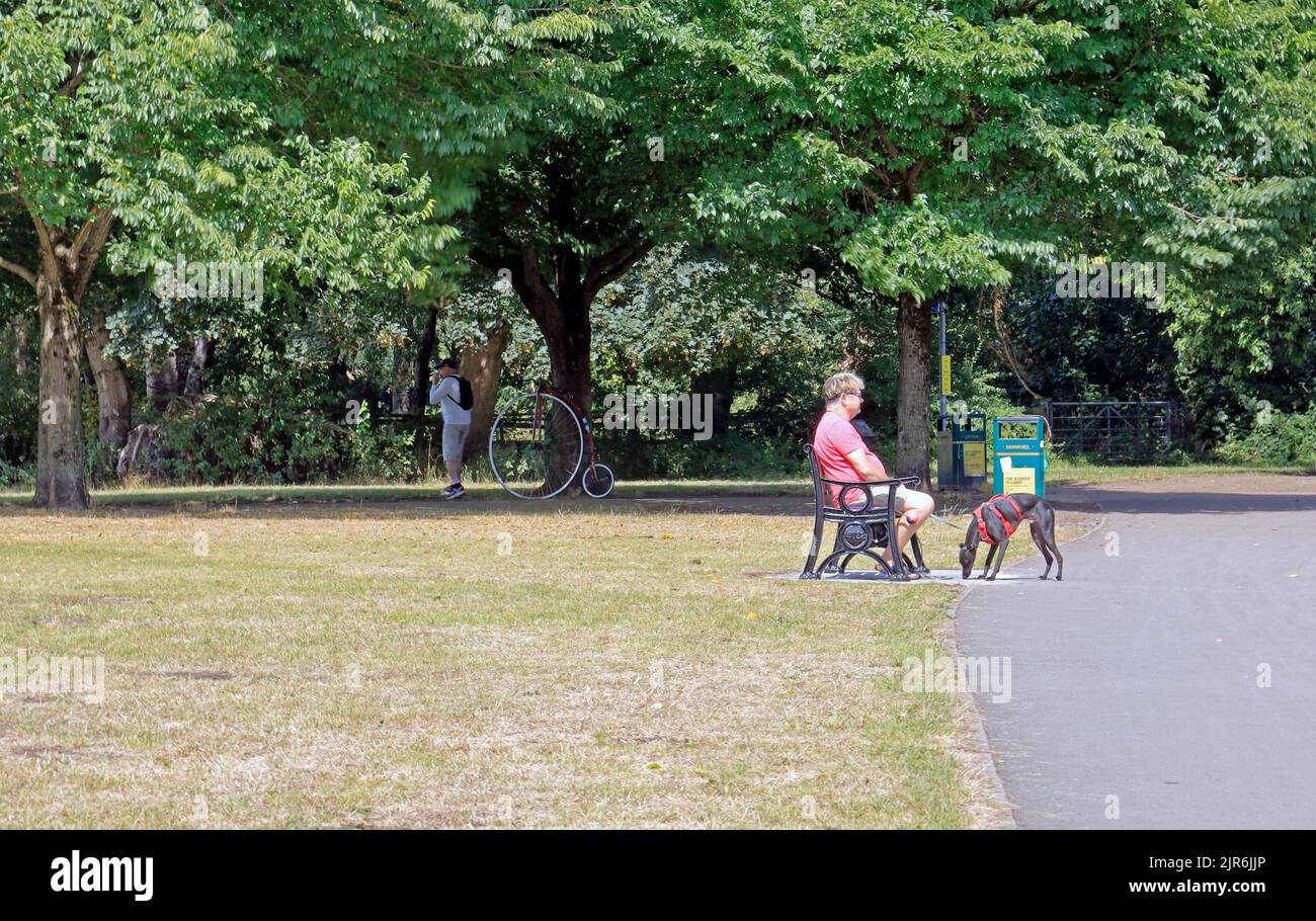 Una bicicletta moderna penny lontano appoggiata contro un albero, la gente su una panca. Pontcanna Fields a Blackweir Bridge. Cardiff. Agosto 2022. Foto Stock