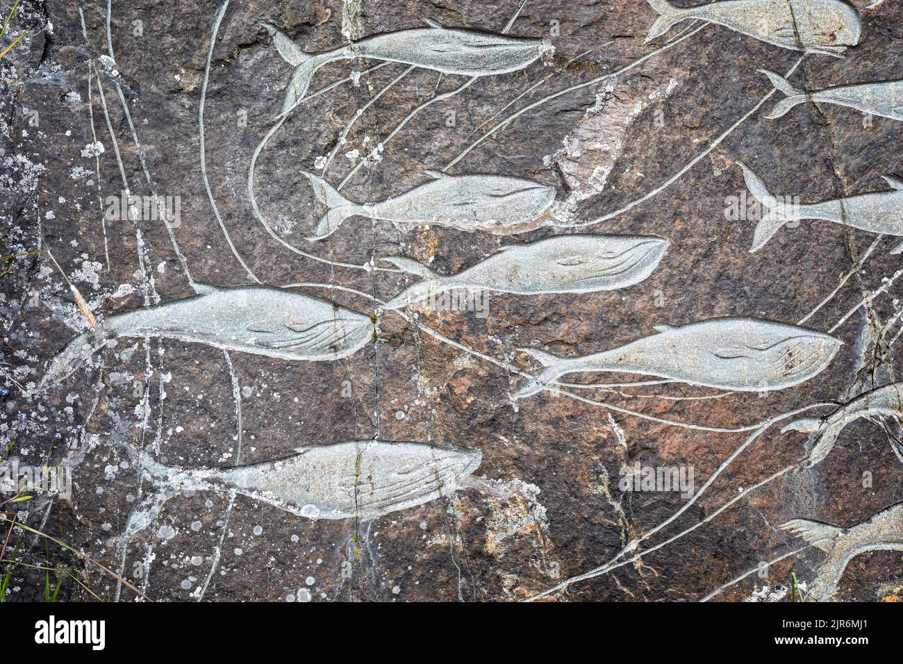 Sculture di balena in pietra sulla parete rocciosa a Qaqortoq, Groenlandia, il 13 luglio 2022 Foto Stock