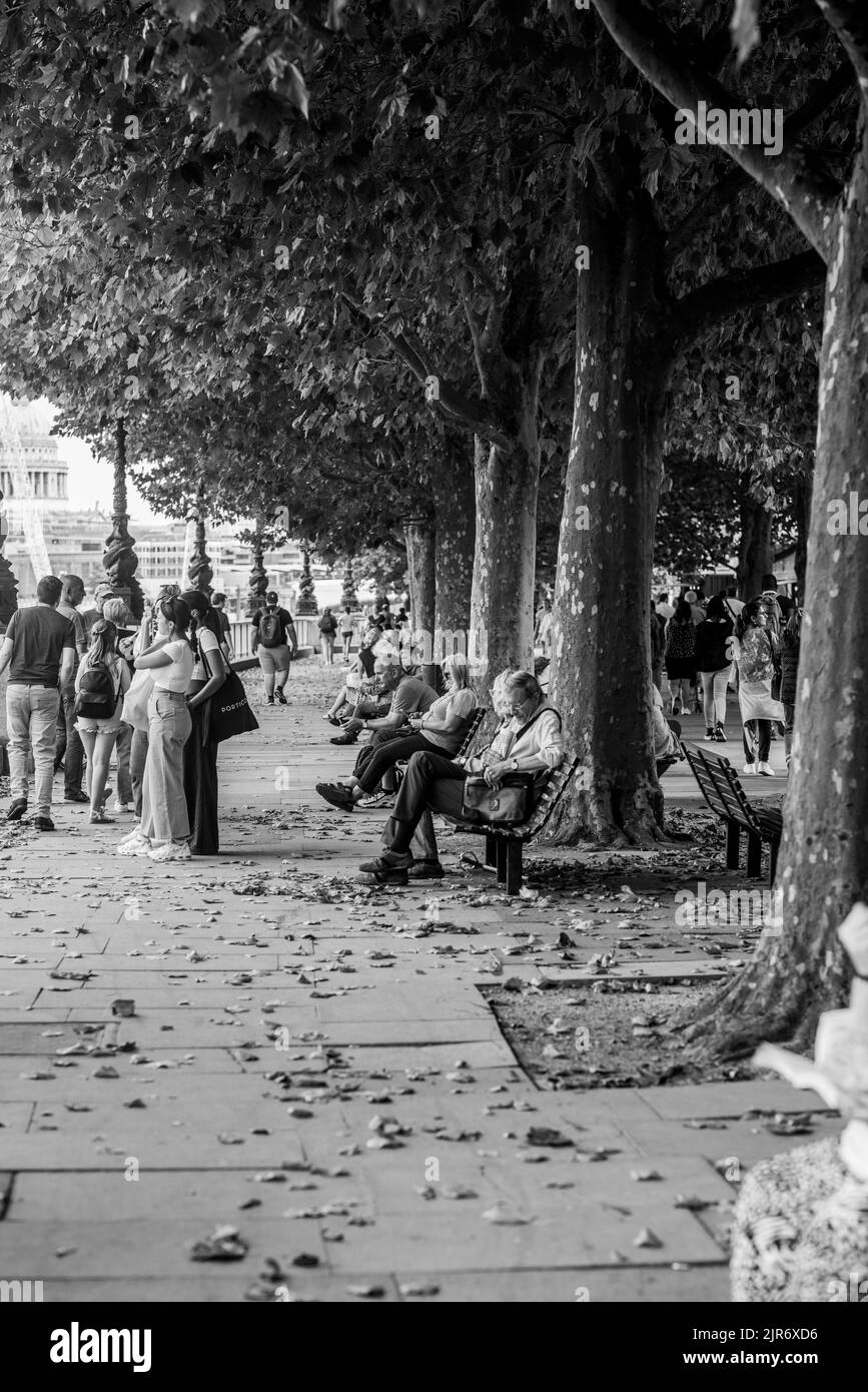 Londra lungo il Tamigi Foto Stock
