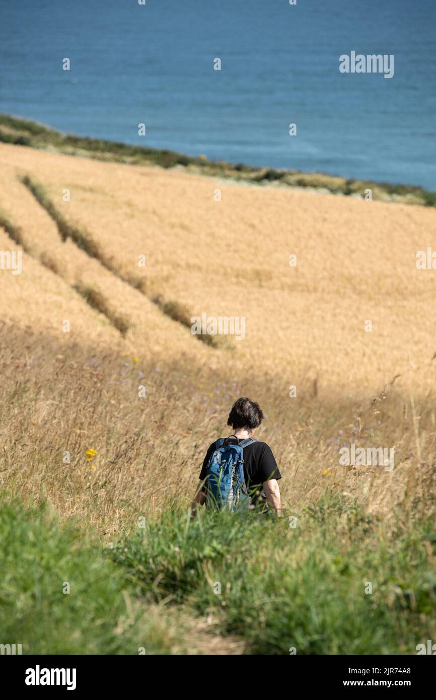 Donna che cammina sul sentiero costiero del Berwickshire vicino a Eyemouth, ai confini scozzesi Foto Stock