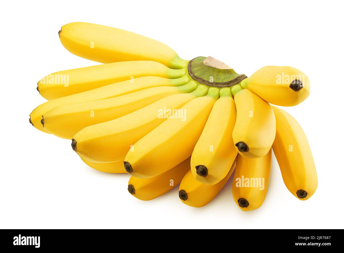 Grappolo di banane isolati su sfondo bianco, percorso di clipping, tutta la profondità di campo Foto Stock