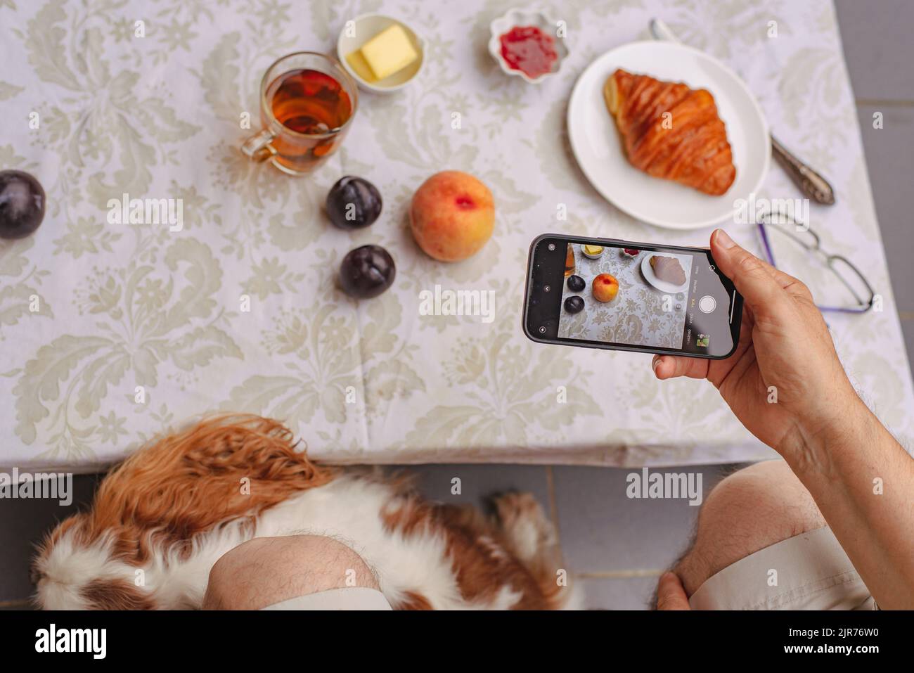 Croissant con tè e marmellata per colazione. Colazione con un amico di cane Foto Stock