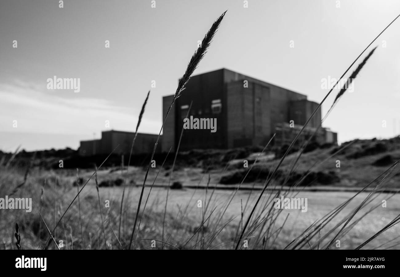 Grano di fronte a Sizewell A, centrale nucleare decommissionata sulla Suffolk Coast, Inghilterra, Regno Unito. Bianco e nero. Foto Stock