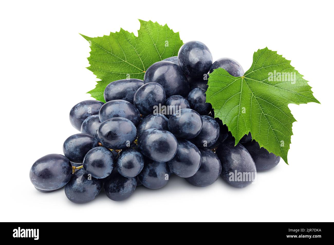 uva viola, isolata su sfondo bianco, tracciato di ritaglio, profondità di campo completa Foto Stock