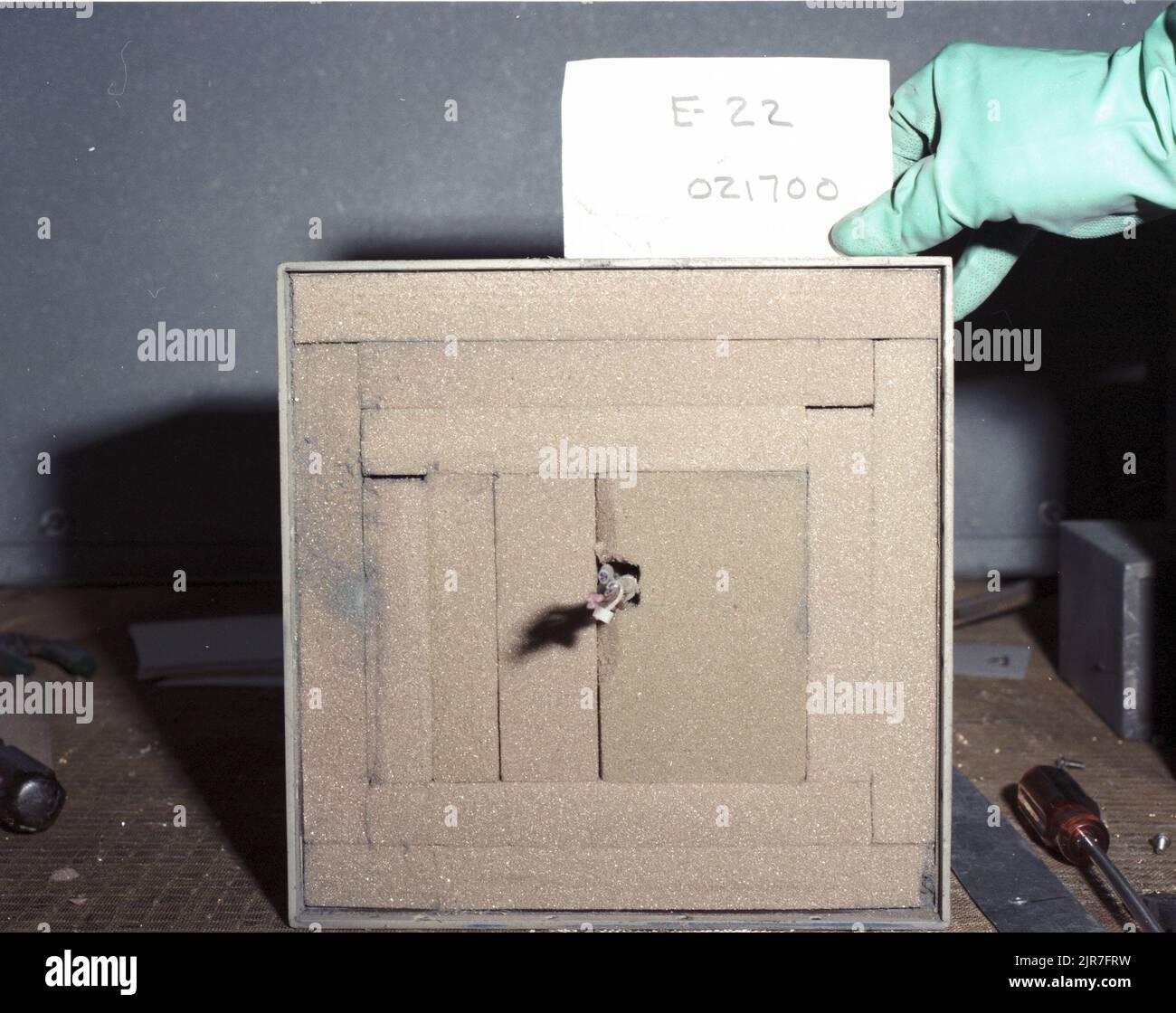 A840522 U12T RECUPERO ESPERIMENTO MITO MIDAS STEPHEN FALACY (INGEGNERE DI PROGETTO) MAR 14 84 EG&G/NTS PHOTO LAB DATA DI PUBBLICAZIONE: 3/14/1984 E-22; EDGERTON, GERMESHAUSEN & GRIER; EG&G; APPARECCHIATURE; APPARECCHIATURE E STRUMENTI; RECUPERO DI ESPERIMENTI; GUANTI; GUANTI, CHIRURGICI; STRUMENTI; STRUMENTI E ATTREZZATURE; MITO MIDAS; NEVADA; NEVADA; NEVADA TEST SITE; NTS; TECNOLOGIA DELL'ENERGIA NUCLEARE; PROVE NUCLEARI; PROVE NUCLEARI; SITI DI PROVA; UGT; PROVE SOTTERRANEE; FILI E CAVI; U12T IMMAGINI STORICHE DEL MITO-ESPERIMENTO MIDAS REC. 1972 - 2012. Dipartimento di energia. Amministrazione nazionale della sicurezza nucleare. Fotografie Rrela Foto Stock