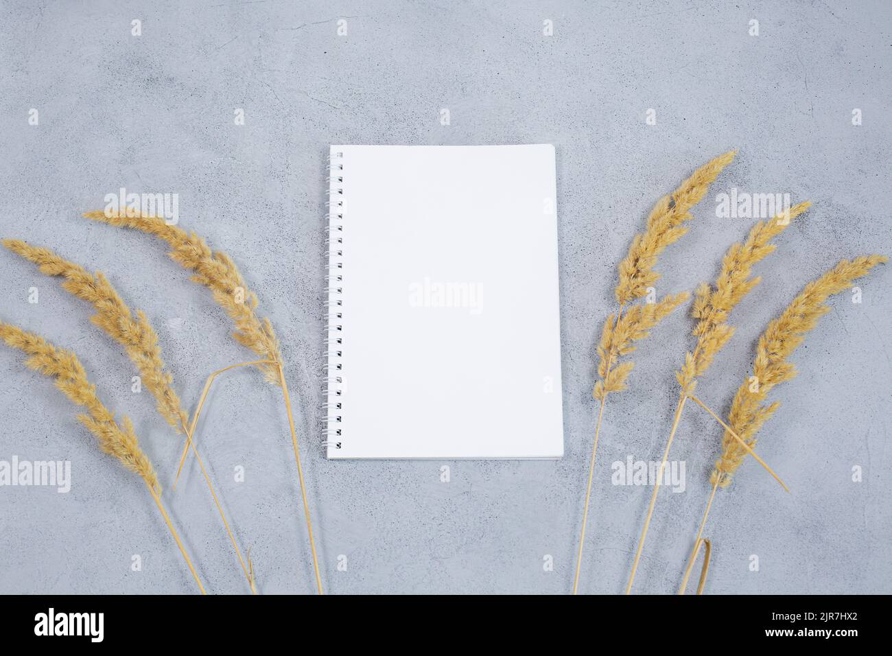 Un taccuino da diario aperto, calendario con erba secca su un tavolo grigio in cemento. Il concetto di business planning. Composizione autunnale. Foto Stock