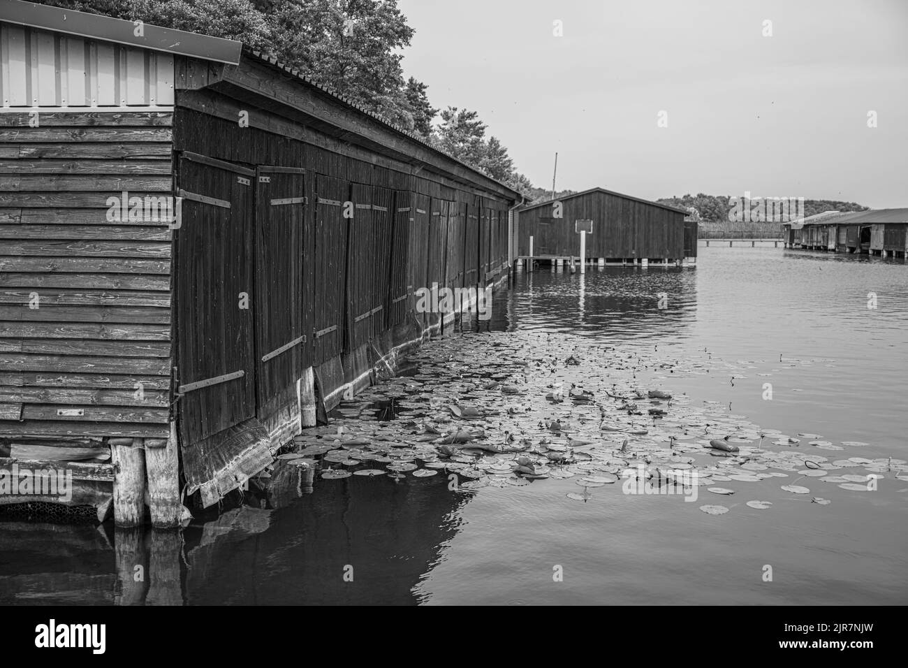 Boathouses sul lago Mueritz in Germania Foto Stock