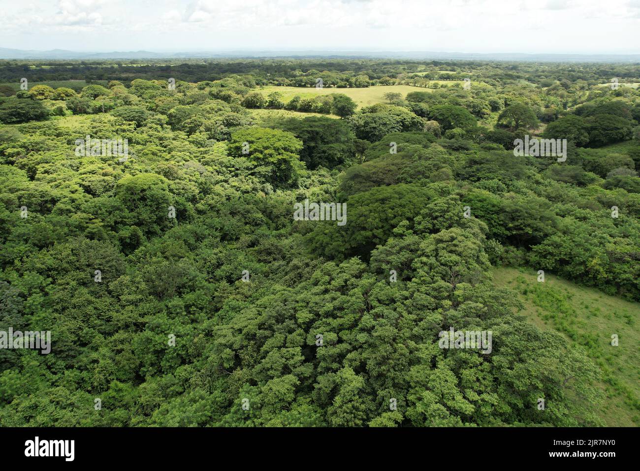 Verde scena nella giungla tropicale Nicaragua vista aerea drone Foto Stock