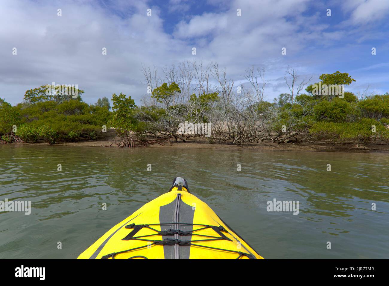 Vista in prima persona dal kayak giallo sul tranquillo fiume con vegetazione lussureggiante e cieli limpidi Graham Creek Curtis Island Queensland Australia Foto Stock