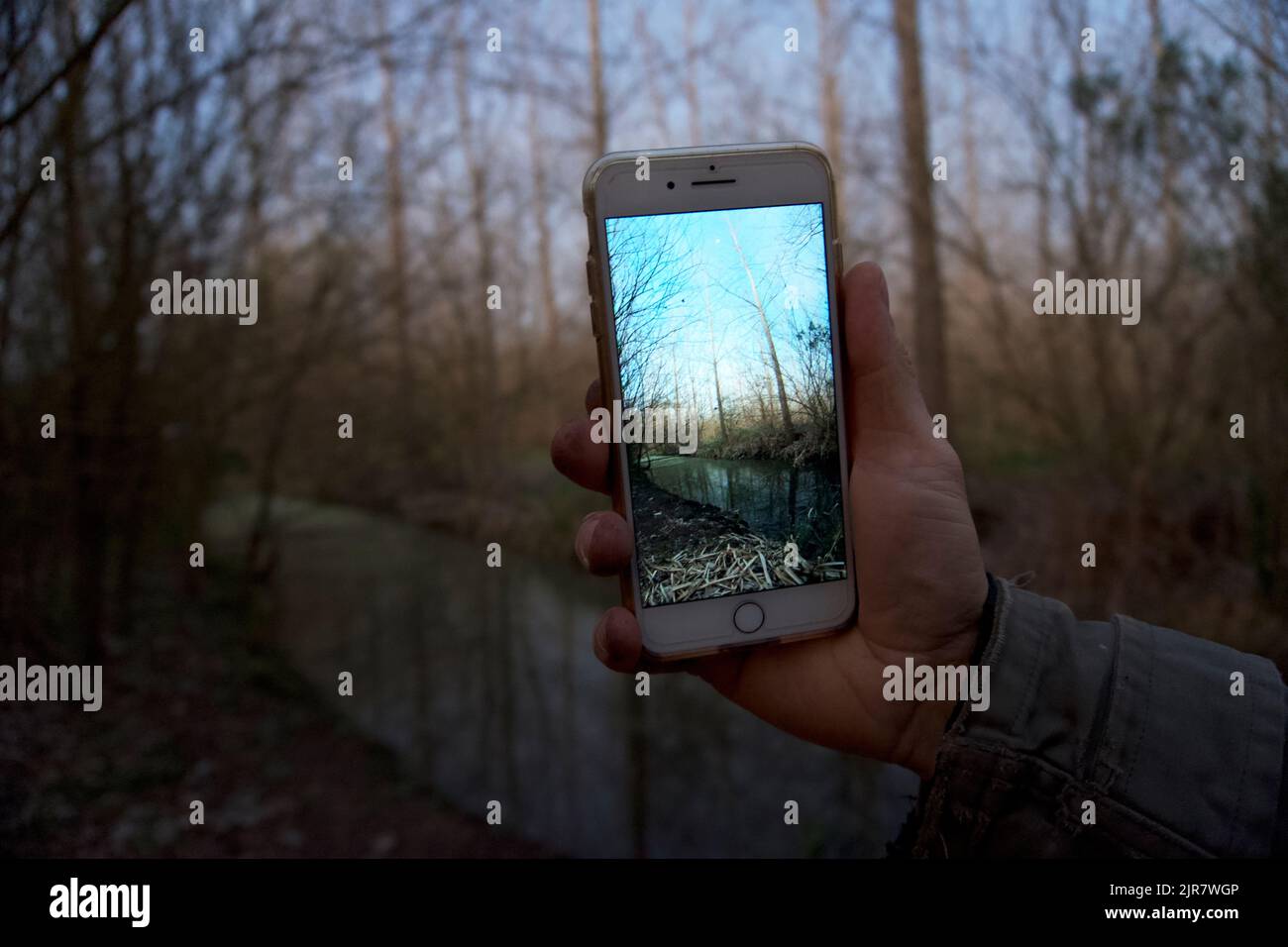 uno smartphone che mostra il paesaggio naturale. Foto Stock