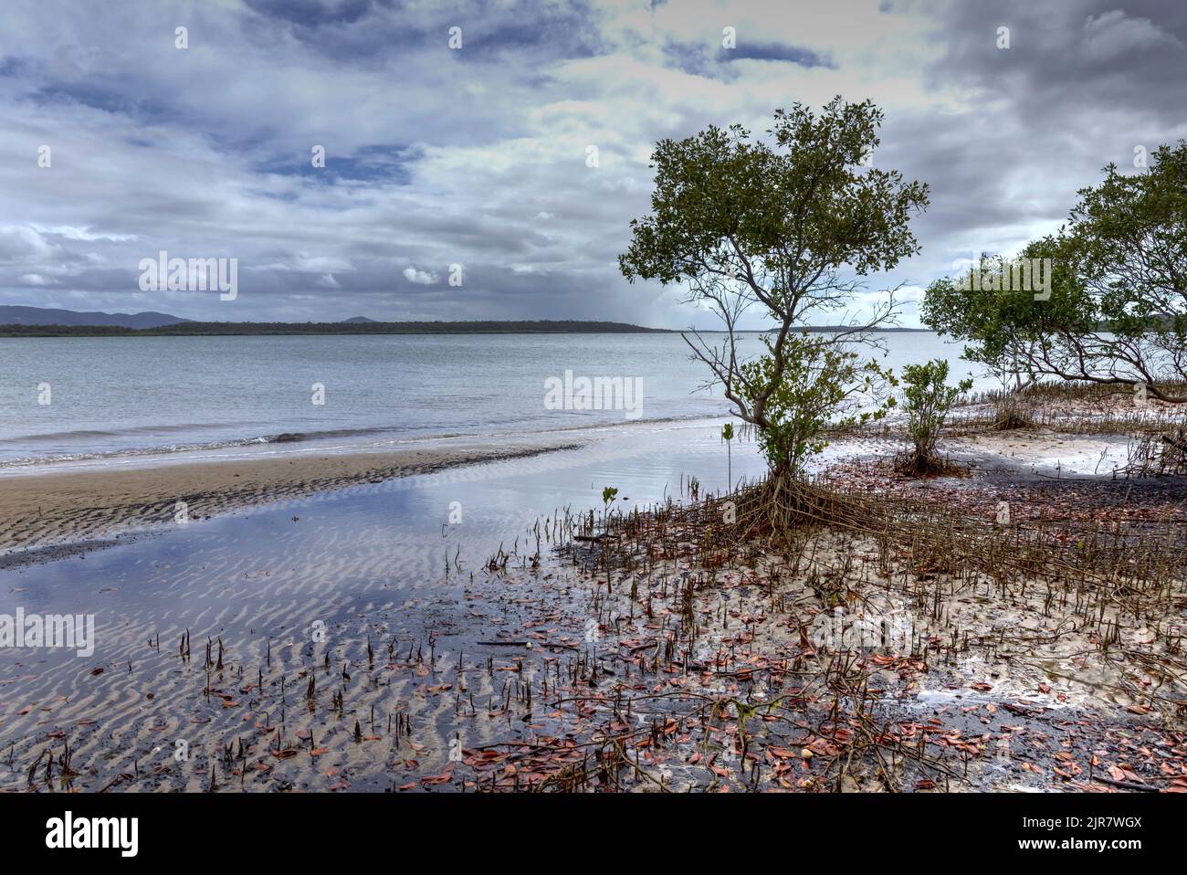 Cielo coperto su una tranquilla spiaggia con alberi di mangrovie e nuvole sparse che si riflettono sulla sabbia bagnata di Curtis Island Queensland Australia Foto Stock