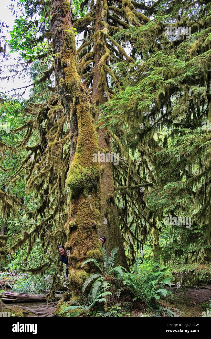 Coppia matura che si nasconde dietro l'albero alto Foto Stock