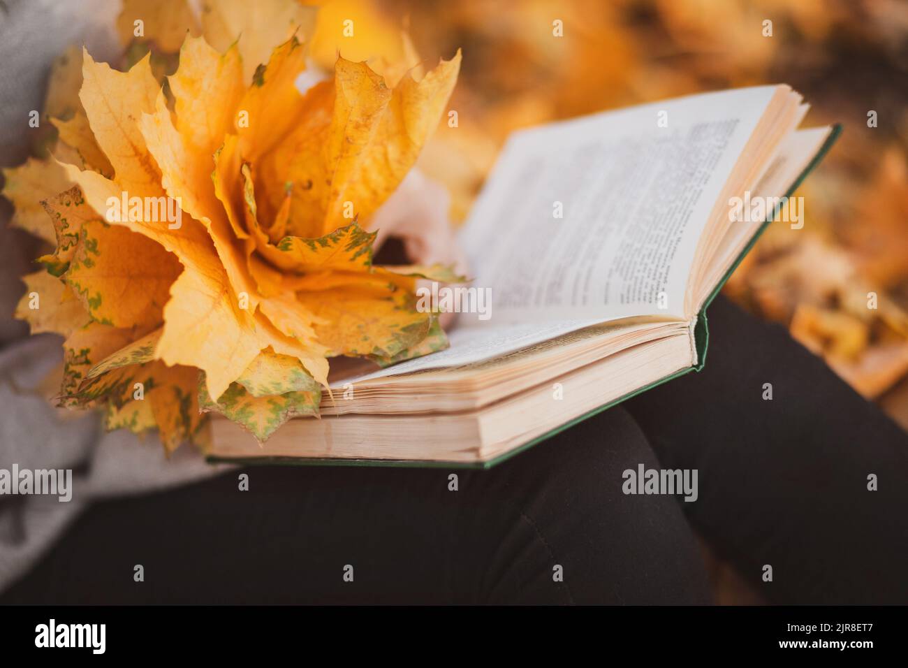 Primo piano su libro e bouquet giallo di foglie autunnali Foto Stock