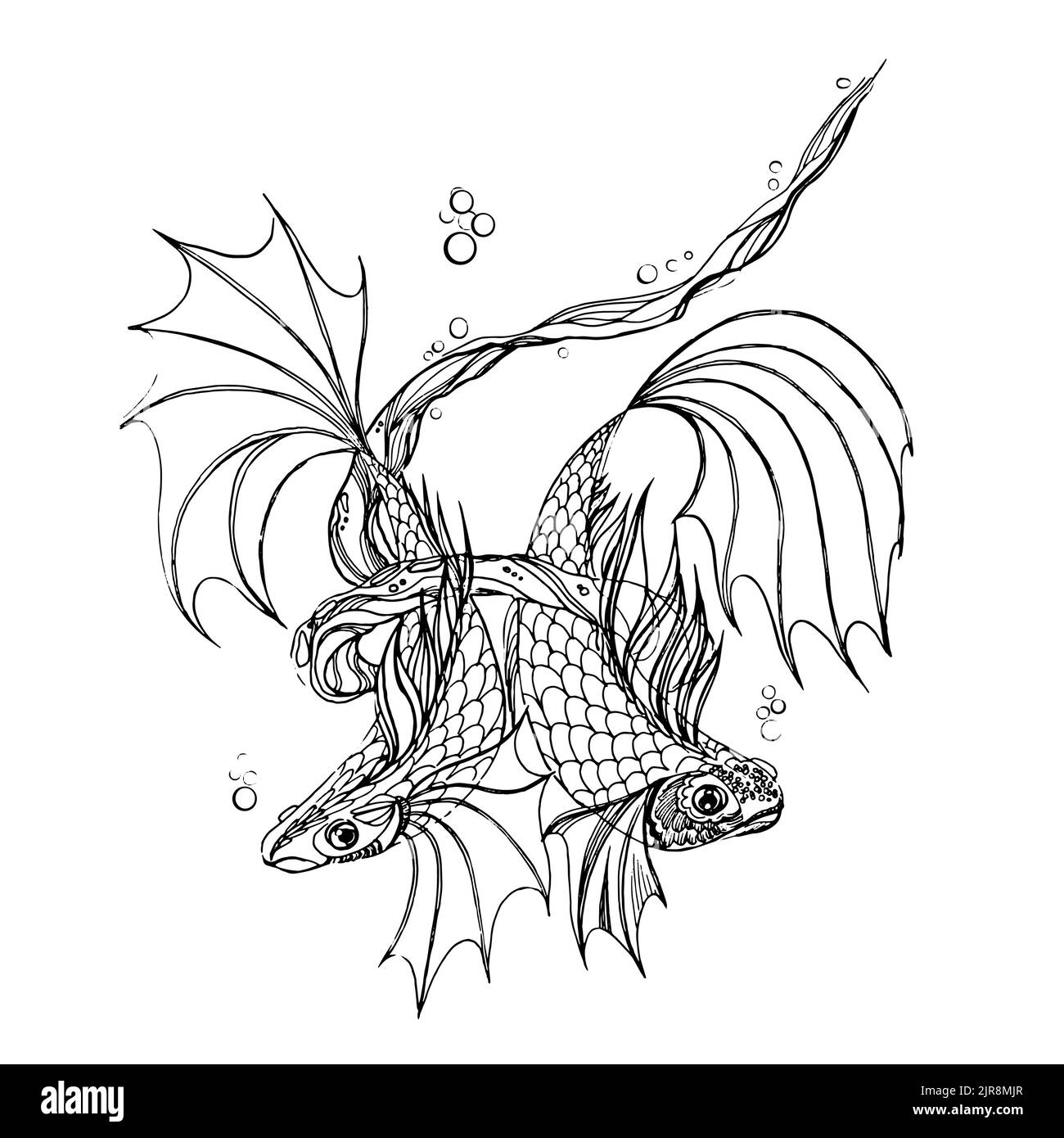Pesci astratti, disegno a linee da colorare. Immagine dettagliata in bianco e nero di due pesci koi. Illustrazione Vettoriale Pesci astratti, disegno a linee da colorare. Immagine dettagliata in bianco e nero di due pesci koi. Illustrazione Vettoriale