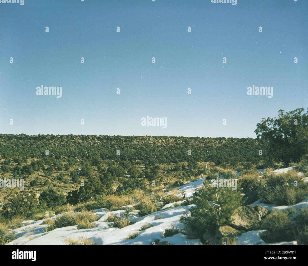 A750832 U19F INLET PRESHOT H. STUCKERT (PROJECT ENGINEER) DEC 29 75EG&G/NTS PHOTO LAB DATA DI PUBBLICAZIONE: 12/29/1975 EDGERTON, GERMESHAUSEN & GRIER; EG&G; FORESTE; INGRESSI; NEVADA; NEVADA TEST SITE; NTS; TECNOLOGIA NUCLEARE; TEST NUCLEARI; PROVE NUCLEARI; ESPERIMENTI PRE-SHOT; NEVE; STUCKERT, H.; SITI DI PROVA; ALBERI; TEST SOTTERRANEI; IMMAGINI STORICHE PRESHOT. 1972 - 2012. Dipartimento di energia. Amministrazione nazionale della sicurezza nucleare. Fotografie relative al test delle armi nucleari presso il sito di test del Nevada. Foto Stock