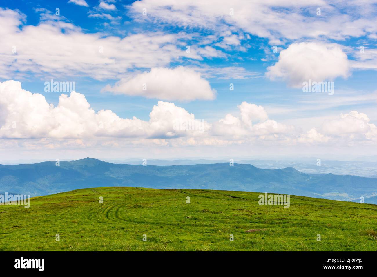 paesaggio verde in una luce appollata. colline erbose di carpazi paesaggio di montagna in una giornata di sole. cielo con le nuvole sopra l'orizzonte Foto Stock