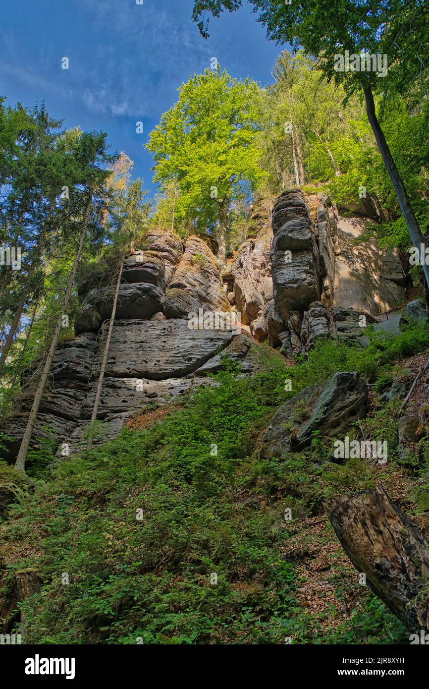 Svizzera sassone Foto Stock