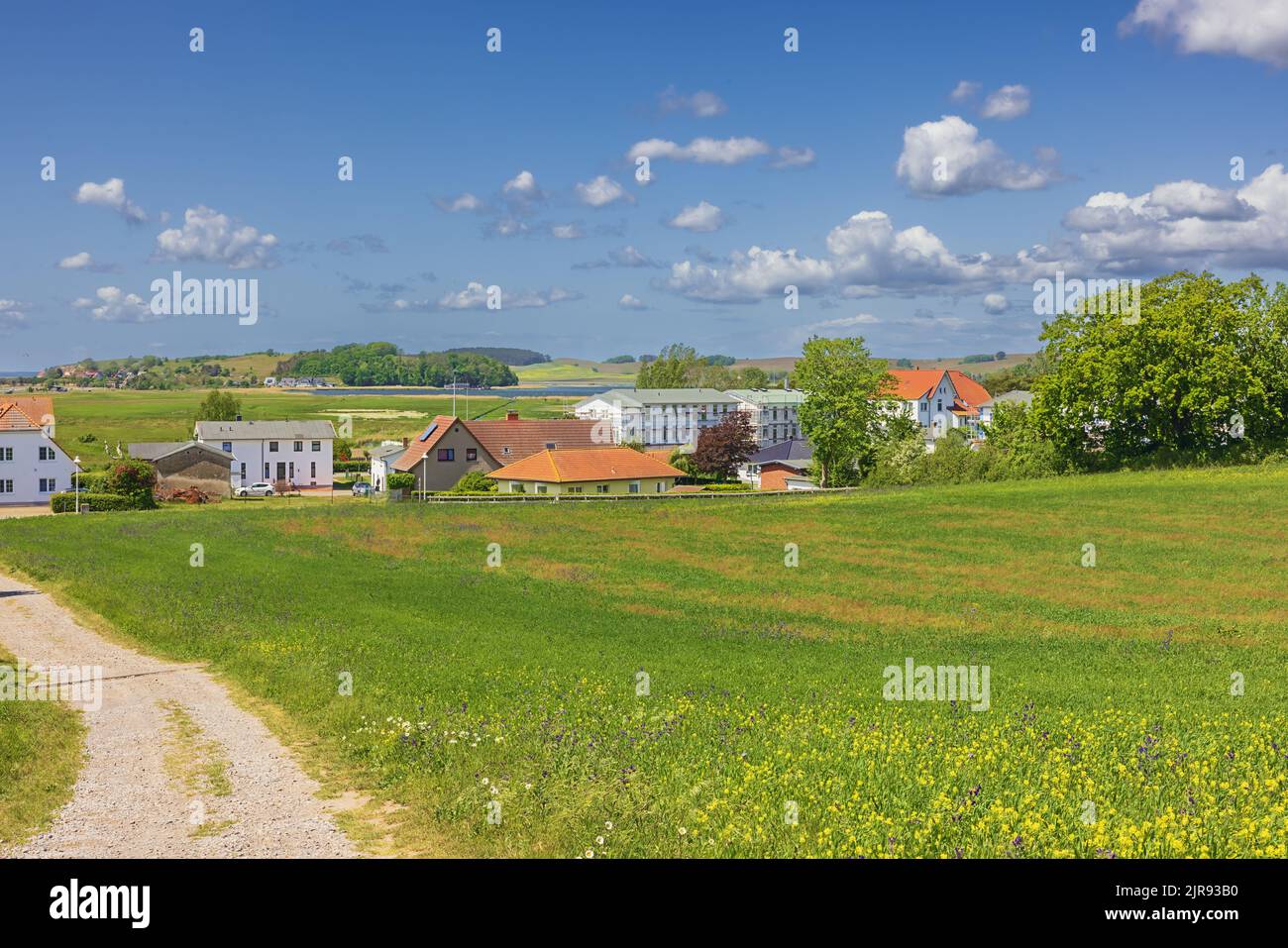 La campagna intorno a Thiessow sull'isola di Rugen Foto Stock