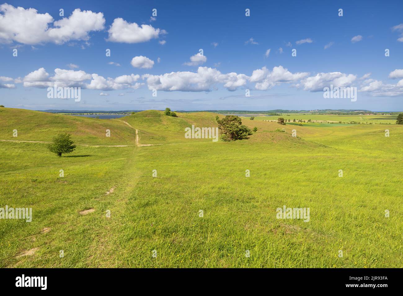 Sulle pendici del Bakenberg vicino a Gager sull'isola di Rugen Foto Stock